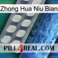 Zhong Hua Niu Bian 34